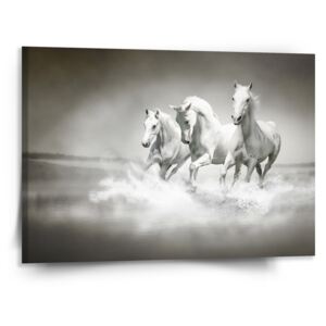 Obraz SABLO - Bílí koně 110x110 cm