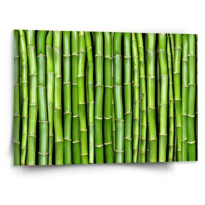 Obraz SABLO - Bambus 110x110 cm