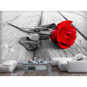 Murando DeLuxe Tapeta červená růže na dřevě Rozměry (š x v) a Typ: 147x105 cm - samolepící