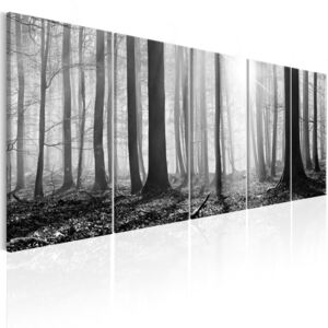 Černobílý obraz ráno v lese + háčky a hřebíčky ZDARMA Velikost (šířka x výška): 125x50 cm