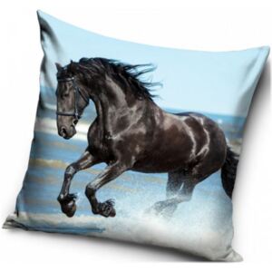 Carbotex • Povlak na polštář s koněm - motiv Černý Mustang - 40 x 40 cm