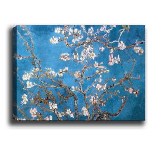 Obraz Almond Blossoms 100x140 cm