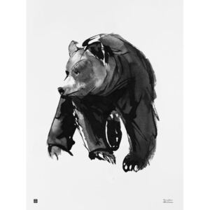 Teemu Järvi Plakát Gentle bear 50x70