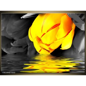 Obraz žlutého květu na hladině (F002896F7050)
