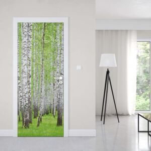 GLIX Fototapeta na dveře - Forest Birch Trees Woods | 91x211 cm