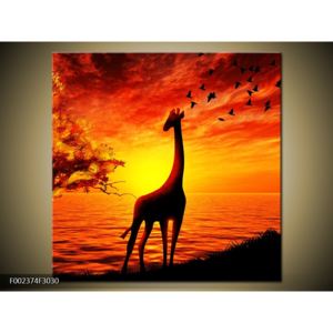 Obraz žirafy při západu slunce (30x30 cm)