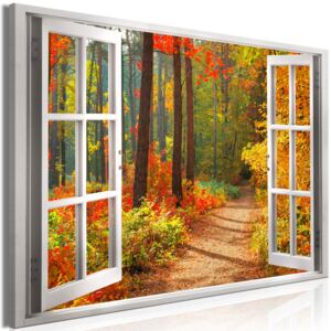 Obraz 3D okno slunný podzim + háčky, hřebíčky ZDARMA Velikost (šířka x výška): 90x60 cm