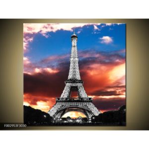 Obraz černobílé Eiffelovy věže (F002953F3030)