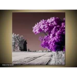 Obraz fialově zbarveného stromu (F002376F3030)