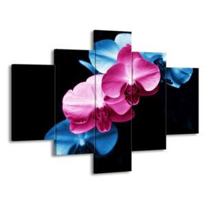 Vícedílný obraz Pestrost orchidejí 100x70 cm