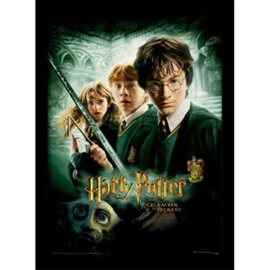 Plakát v rámu Harry Potter: Chamber of Secrets (30 x 40 cm)