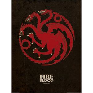 Plakát Game of Thrones|Hra o trůny: Targaryn (60 x 80 cm)