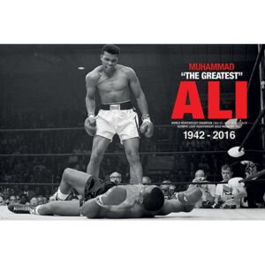 Plakát Muhammad Ali: Ali v Liston (61 x 91,5 cm)