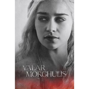 Plakát Game of Thrones|Hra o trůny: (61 x 91,5 cm)
