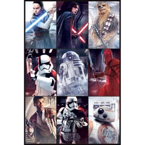 Plakát Star Wars|Hvězdné války VIII: Characters (61 x 91,5 cm)