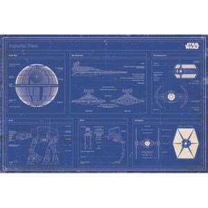 Plakát Star Wars|Hvězdné války: Imperial Fleet (61 x 91,5 cm)