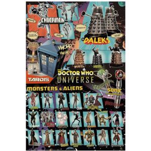 Plakát The Doctor Who: Characters (61 x 91,5 cm)