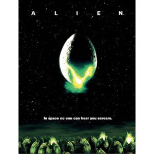 Obraz na plátně Alien: One-sheet (60 x 80 cm)