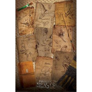 Plakát Fantastic Beasts: Notebook Pages (61 x 91,5 cm)