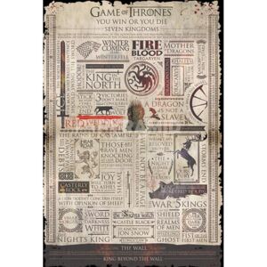 Plakát Game of Thrones|Hra o trůny: Infographic (61 x 91,5 cm)