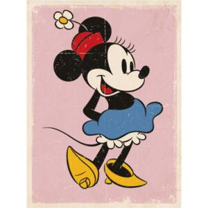 Obraz na plátně Minnie Mouse: Retro (30 x 40 cm)