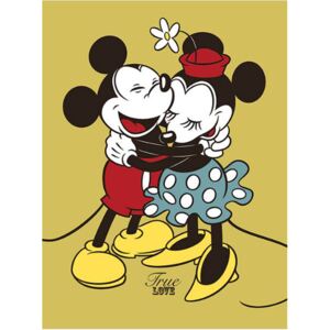 Obraz na plátně Mickey & Minnie Mouse: True Love (30 x 40 cm)