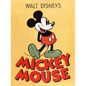 Obraz na plátně Mickey Mouse: Mickey (30 x 40 cm)