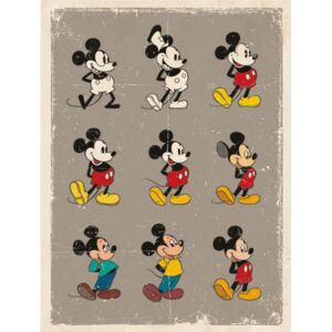 Obraz na plátně Mickey Mouse: Evolution (30 x 40 cm)