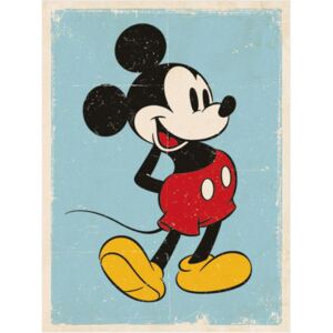 Obraz na plátně Mickey Mouse: Retro (30 x 40 cm)