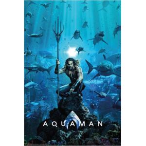 Plakát DC Comics|Aquaman: One Sheet (61 x 91,5 cm)