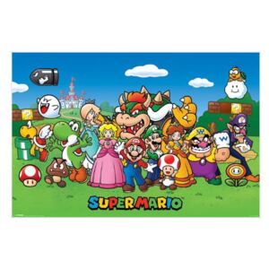 Plakát Super Mario: Characters (61 x 91,5 cm)