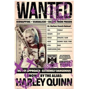 Plakát DC Comics: Suicide Squad Harley Wanted (61 x 91,5 cm)