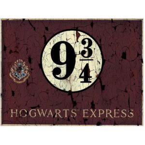 Obraz na plátně Harry Potter: Hogwarts Express 9 3|4 (60 x 80 cm)