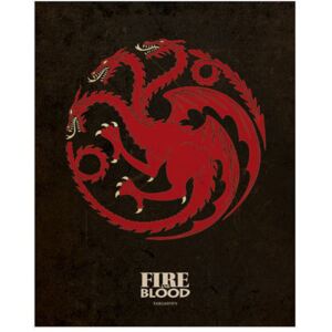 Obraz na plátně Game of Thrones|Hra o Trůny: Targaryen (40 x 50 cm)