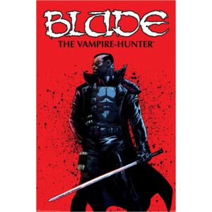 Plakát Blade: The Vampire Hunter (61 x 91,5 cm)
