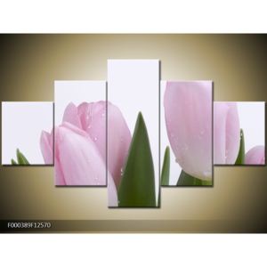 Obraz růžových tulipánů (F000389F12570)