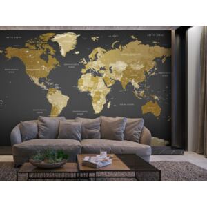 Murando DeLuxe Tapeta mapa světa: moderní geografie Rozměry (š x v) a Typ: 147x116 cm - samolepící