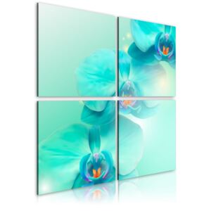 Obraz na plátně Bimago - Sky-modré orchideje 60x60 cm