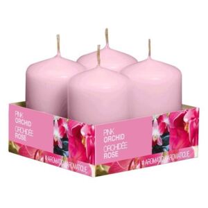 Bolsius NR Válec 4ks 40x60 Pink Orchid vonná svíčka