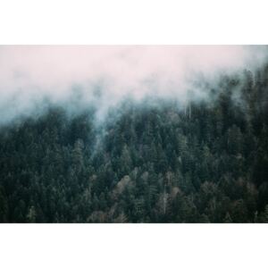 Umělecká fotografie Fog over the forest, Javier Pardina