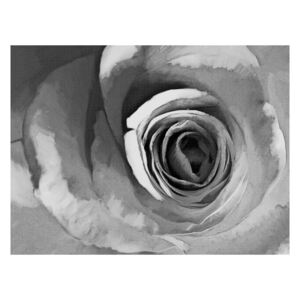 Velkoformátová tapeta Artgeist Paper Rose, 200 x 154 cm