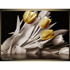 Obraz zlatých květů tulipánů (F002484F7050)