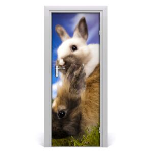 Samolepící fototapeta na dveře Dva králíci