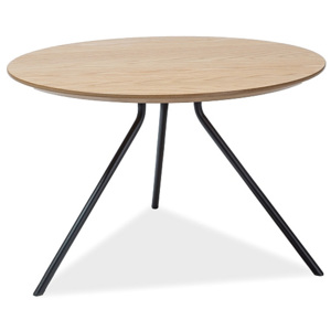 Konferenční stolek AFRICA, 40x60x60, dub/černá