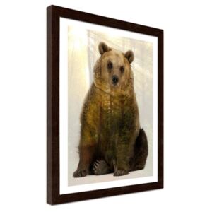 CARO Obraz v rámu - Bear 30x40 cm Hnědá