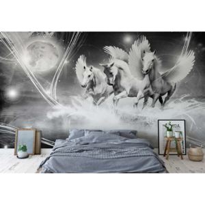 Fototapeta - Winged Horses Pegasus Black And White Vliesová tapeta - 250x104 cm
