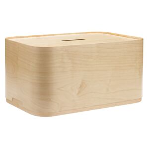 Box Vakka iittala 45x23x30 cm bříza