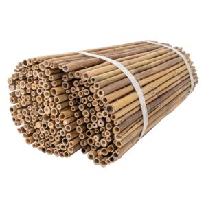 Bambusová rohož silná 1x5 m - role (Bambusová rohož v roli)