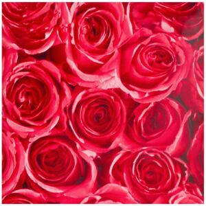 Samolepící tapeta fólie růže červená šíře 45cm - dekor 792