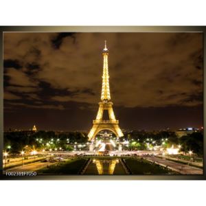 Obraz noční Eiffelovy věže (F002311F7050)